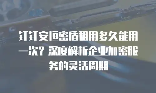 钉钉安恒密盾租用多久能用一次？深度解析企业加密服务的灵活周期