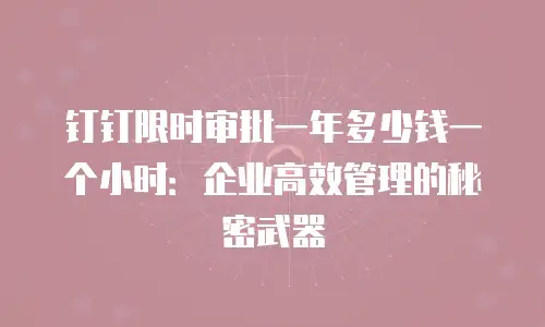 钉钉限时审批一年多少钱一个小时：企业高效管理的秘密武器