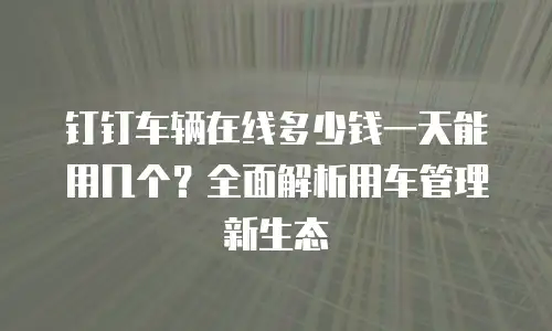 钉钉车辆在线多少钱一天能用几个？全面解析用车管理新生态