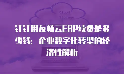 钉钉用友畅云ERP续费是多少钱：企业数字化转型的经济性解析