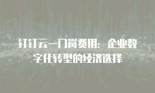 钉钉云一门岗费用：企业数字化转型的经济选择