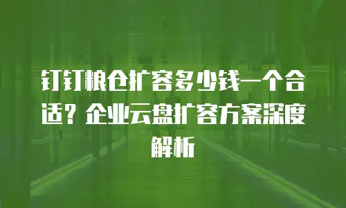 钉钉粮仓扩容多少钱一个合适？企业云盘扩容方案深度解析