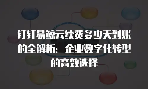 钉钉易鲸云续费多少天到账的全解析：企业数字化转型的高效选择