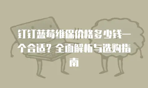钉钉蓝莓维保价格多少钱一个合适？全面解析与选购指南