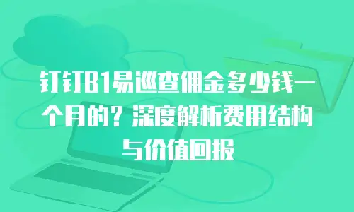 钉钉B1易巡查佣金多少钱一个月的？深度解析费用结构与价值回报