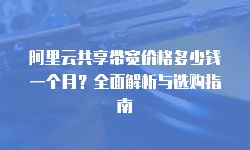 阿里云共享带宽价格多少钱一个月？全面解析与选购指南