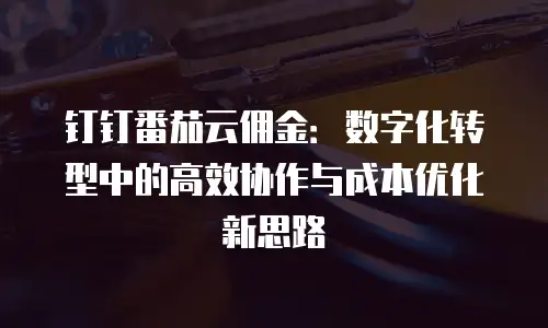 钉钉番茄云佣金：数字化转型中的高效协作与成本优化新思路