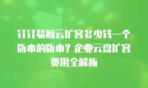 钉钉易鲸云扩容多少钱一个版本的版本？企业云盘扩容费用全解析