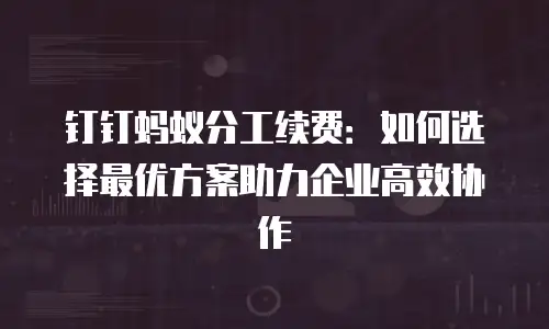 钉钉蚂蚁分工续费：如何选择最优方案助力企业高效协作