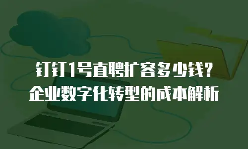 钉钉1号直聘扩容多少钱？企业数字化转型的成本解析
