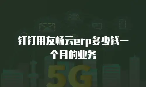 钉钉用友畅云erp多少钱一个月的业务