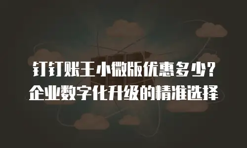 钉钉账王小微版优惠多少？企业数字化升级的精准选择