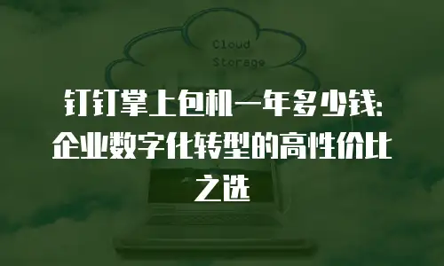 钉钉掌上包机一年多少钱：企业数字化转型的高性价比之选