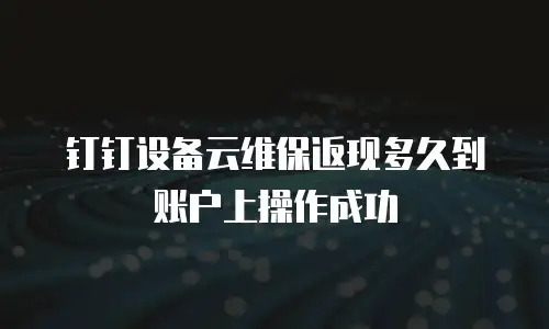 钉钉设备云维保返现多久到账户上操作成功