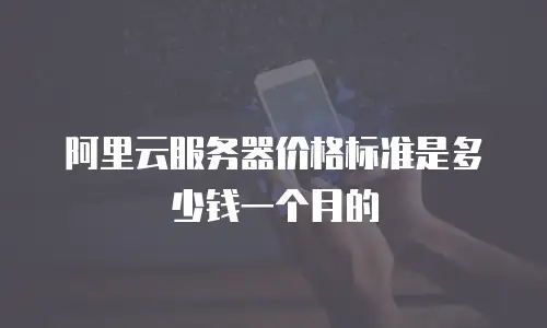 阿里云服务器价格标准是多少钱一个月的