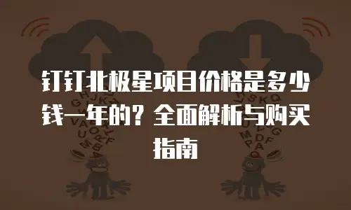 钉钉北极星项目价格是多少钱一年的？全面解析与购买指南