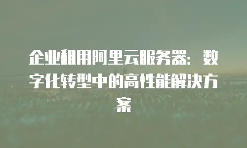 企业租用阿里云服务器：数字化转型中的高性能解决方案