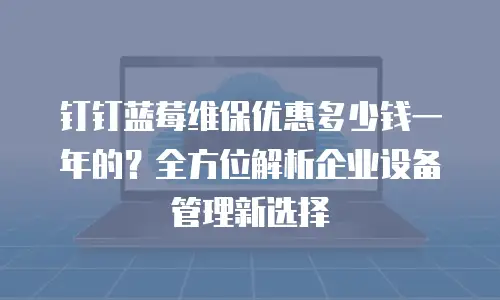 钉钉蓝莓维保优惠多少钱一年的？全方位解析企业设备管理新选择