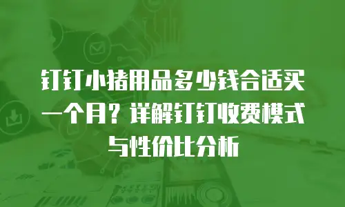 钉钉小猪用品多少钱合适买一个月？详解钉钉收费模式与性价比分析