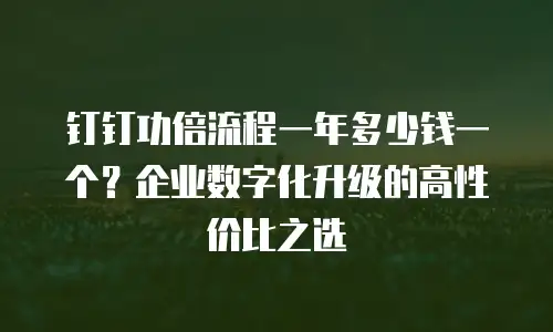 钉钉功倍流程一年多少钱一个？企业数字化升级的高性价比之选