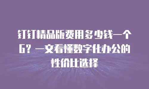 钉钉精品版费用多少钱一个G？一文看懂数字化办公的性价比选择