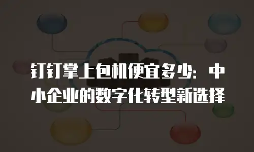 钉钉掌上包机便宜多少：中小企业的数字化转型新选择