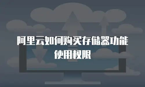 阿里云如何购买存储器功能使用权限