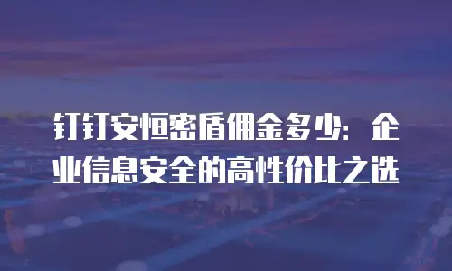 钉钉安恒密盾佣金多少：企业信息安全的高性价比之选