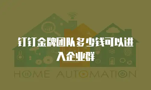 钉钉金牌团队多少钱可以进入企业群