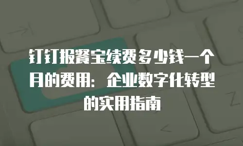 钉钉报餐宝续费多少钱一个月的费用：企业数字化转型的实用指南
