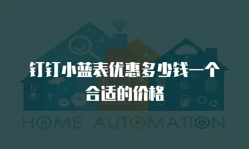 钉钉小蓝表优惠多少钱一个合适的价格