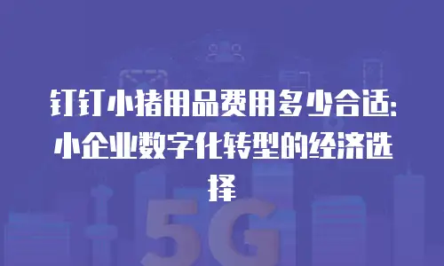 钉钉小猪用品费用多少合适：小企业数字化转型的经济选择