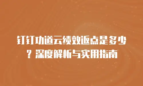 钉钉功道云绩效返点是多少？深度解析与实用指南