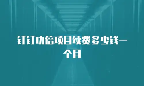 钉钉功倍项目续费多少钱一个月