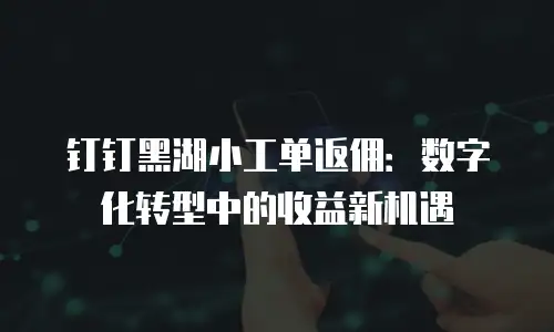 钉钉黑湖小工单返佣：数字化转型中的收益新机遇