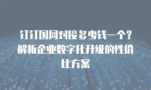 钉钉国网对接多少钱一个？解析企业数字化升级的性价比方案