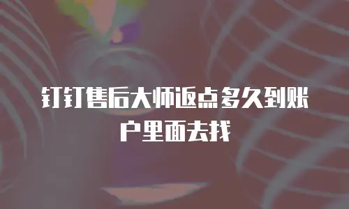 钉钉售后大师返点多久到账户里面去找