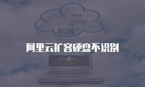 阿里云扩容硬盘不识别