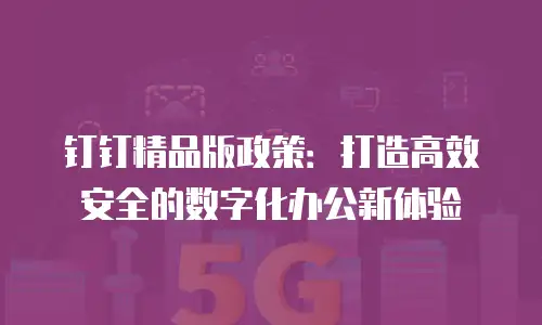 钉钉精品版政策：打造高效安全的数字化办公新体验
