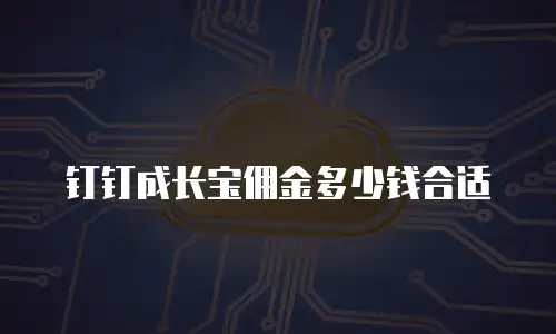 钉钉成长宝佣金多少钱合适