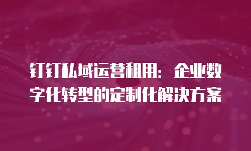 钉钉私域运营租用：企业数字化转型的定制化解决方案