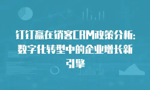钉钉赢在销客CRM政策分析：数字化转型中的企业增长新引擎