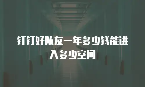 钉钉好队友一年多少钱能进入多少空间