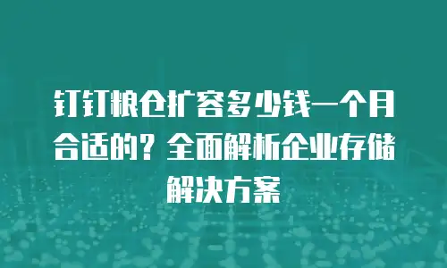 钉钉粮仓扩容多少钱一个月合适的？全面解析企业存储解决方案
