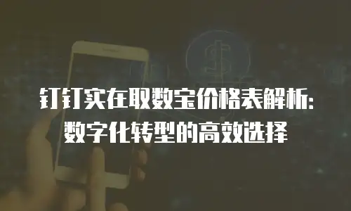 钉钉实在取数宝价格表解析：数字化转型的高效选择