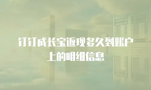 钉钉成长宝返现多久到账户上的明细信息