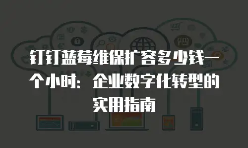 钉钉蓝莓维保扩容多少钱一个小时：企业数字化转型的实用指南