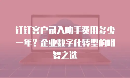 钉钉客户录入助手费用多少一年？企业数字化转型的明智之选