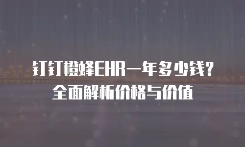 钉钉橙蜂EHR一年多少钱？全面解析价格与价值