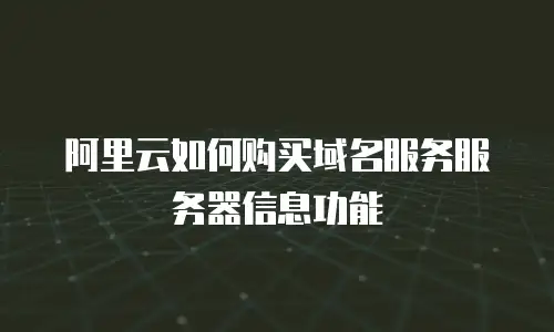 阿里云如何购买域名服务服务器信息功能
